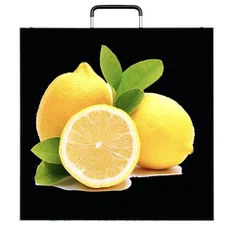 पी 3.9 इंडोर रेंटल एलईडी डिस्प्ले